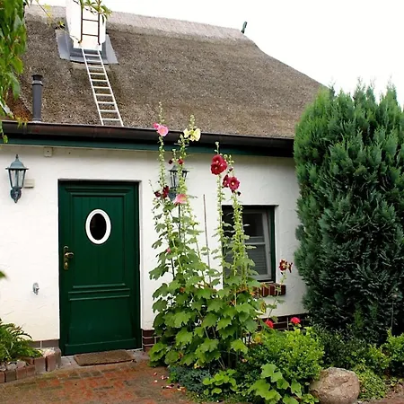 Birkenstraße 10 Fischerhus Ferienhaus *