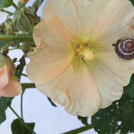 Birkenstraße 10 Fischerhus *